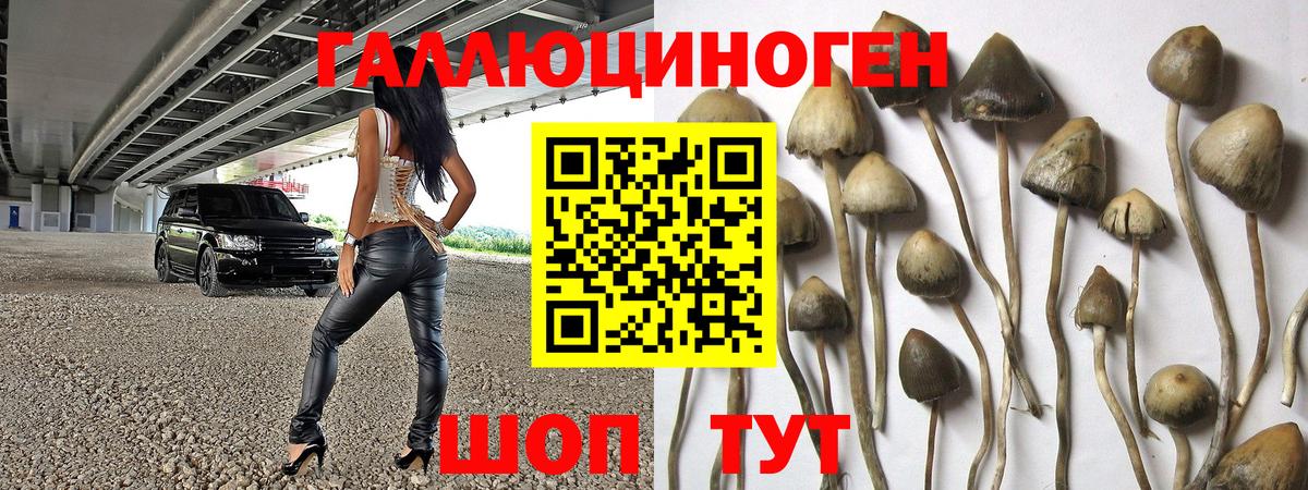 Галлюциногенные грибы Cubensis  Псилоцибиновые грибы Psilocybine cubensis  Тольятти  Вход с VPN 
