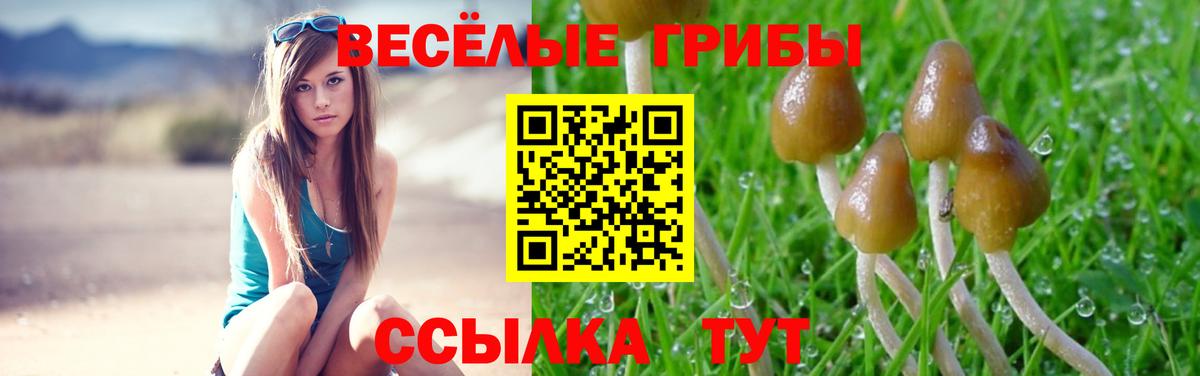 Псилоцибиновые грибы MAGIC MUSHROOMS Тольятти